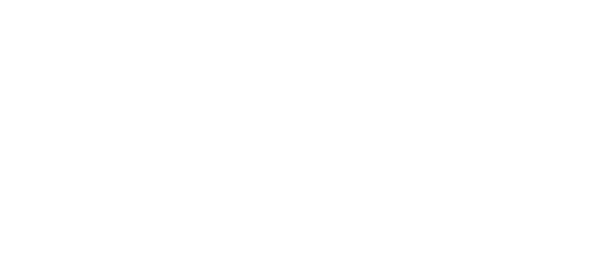 Swiss Street Workout