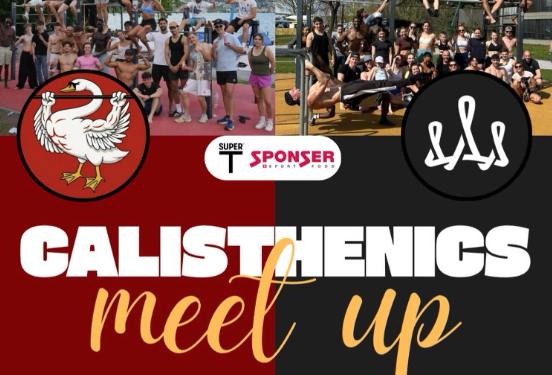 Poster for the Calisthenics Meetup with Swan Calisthenics and Lord of Bars in Rapperswil